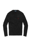 Polo Ralph Lauren Pony-detail cable-knit sweater