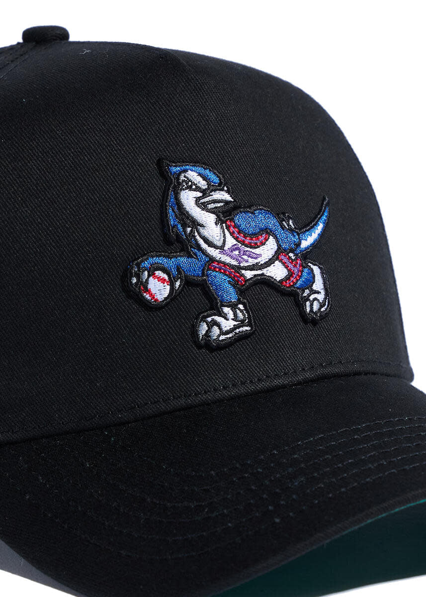 Reference Rapjays Hat